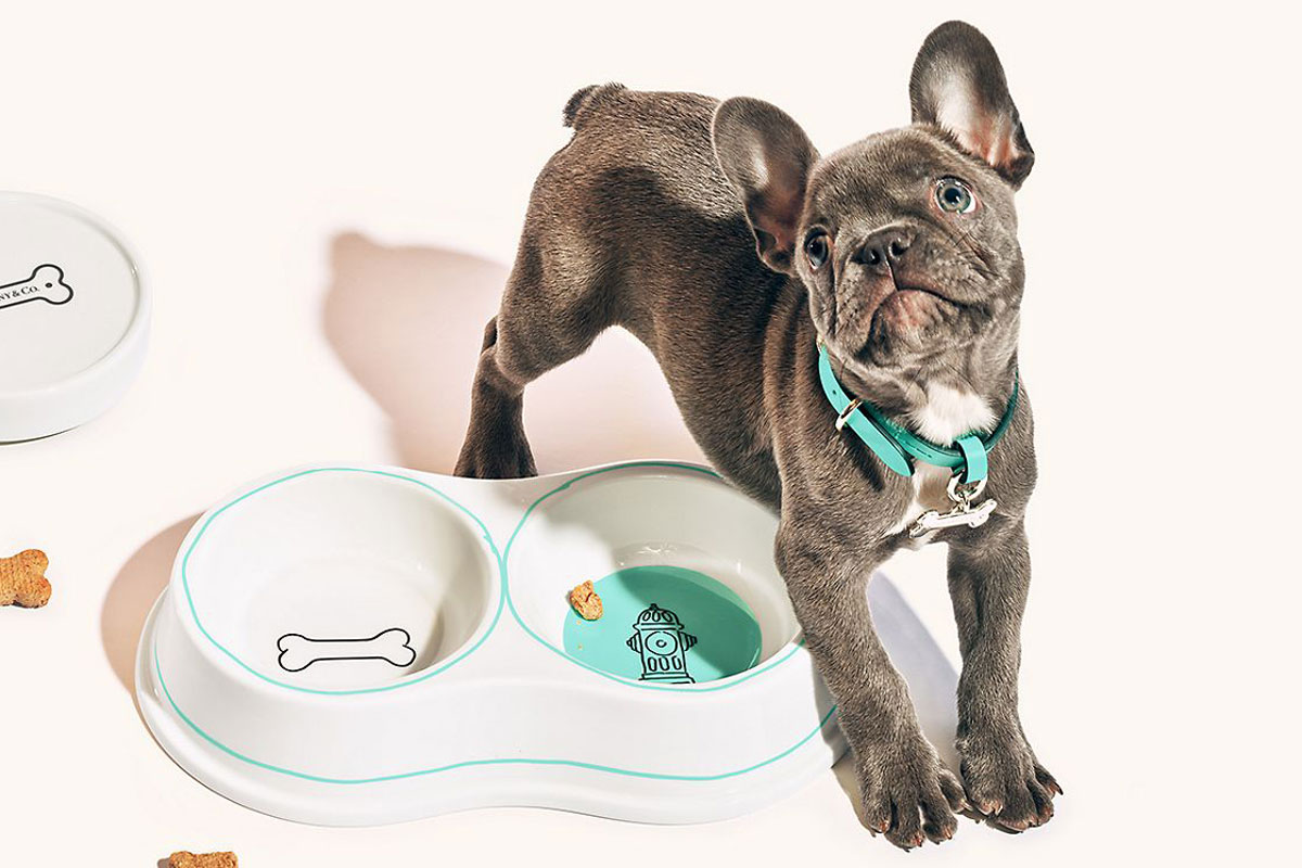 Tiffany and outlet co dog bowl