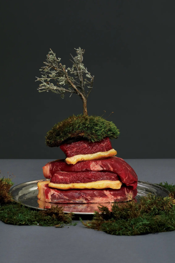 A beef rib lifter stacked with strip steak and a sagebrush tree. Photography by Kyoko Hamada.