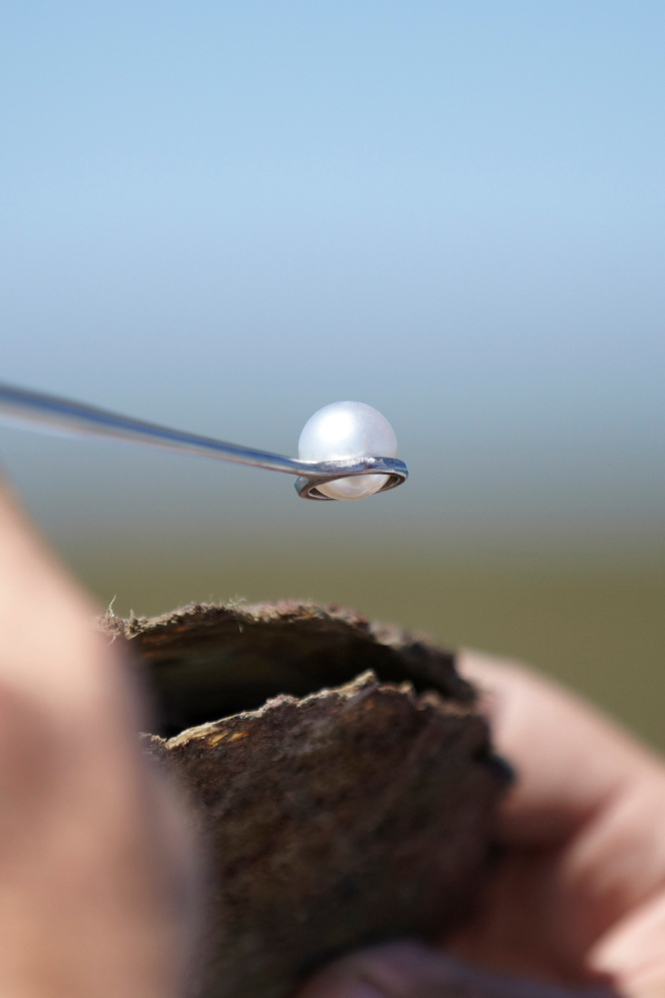 A Paspaley Pearl and a Pinctada Maxima Oyster. Photography courtesy Paspaley.