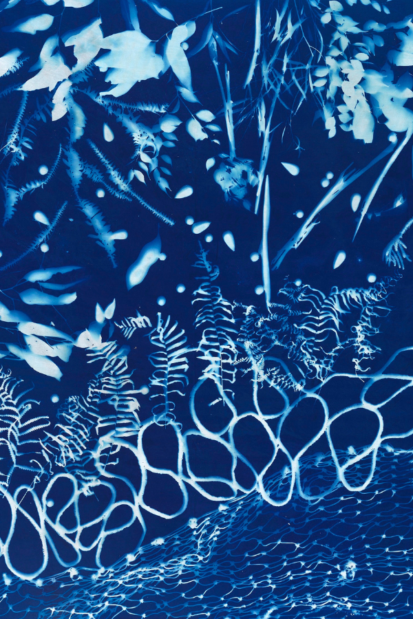 Elisa Jane Carmichael, "Before the Gardens 1", 2022, cyanotype on cotton, 152 x 215cm. Courtesy of the artist, Blaklash Creative and Onespace Gallery.
