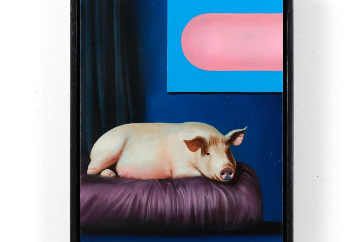 Sam Leach, Comfort interior for pig, 2025, oil on board, 40 x 30cm. Image courtesy the artist and Sullivan+Strumpf. Photography, Phillip Huynh.